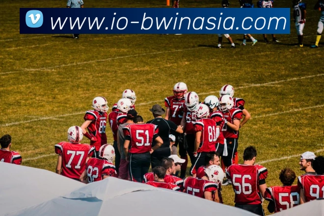 必赢亚洲平台生态图